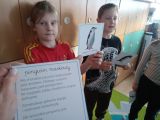 Pingwiny, 