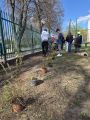 "Zielone Legionowo 2026", 