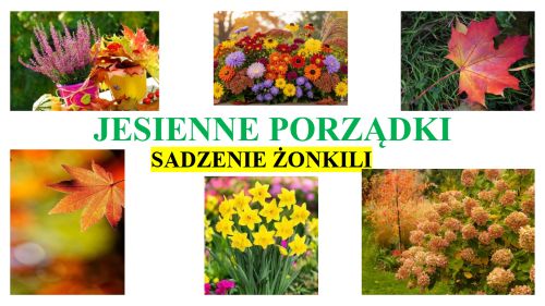 Więcej o: Jesienne porządki